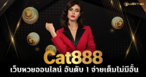 Cat888